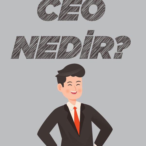 CEO nasıl olunur blog yazısı